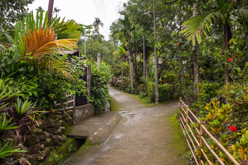 Obraz premium Clean pathway in Mawlynnong village, Meghalaya, North East India. It was declared as the cleanest village in India.