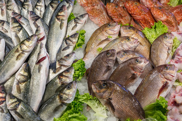 The Rialto fish market in Venice, Italy. Top view of fresh sea fish on ice.