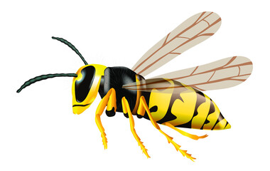 fliegende Wespe