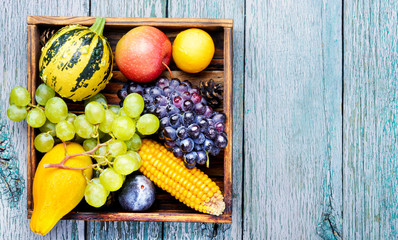 Beautiful autumn harvest