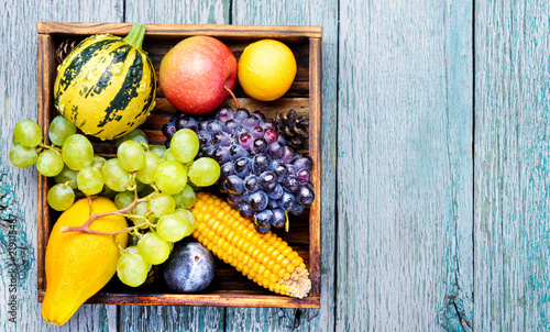 Beautiful autumn harvest
