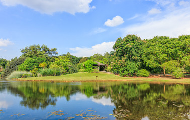 Fototapeta na wymiar Singapore Botanic Gardens