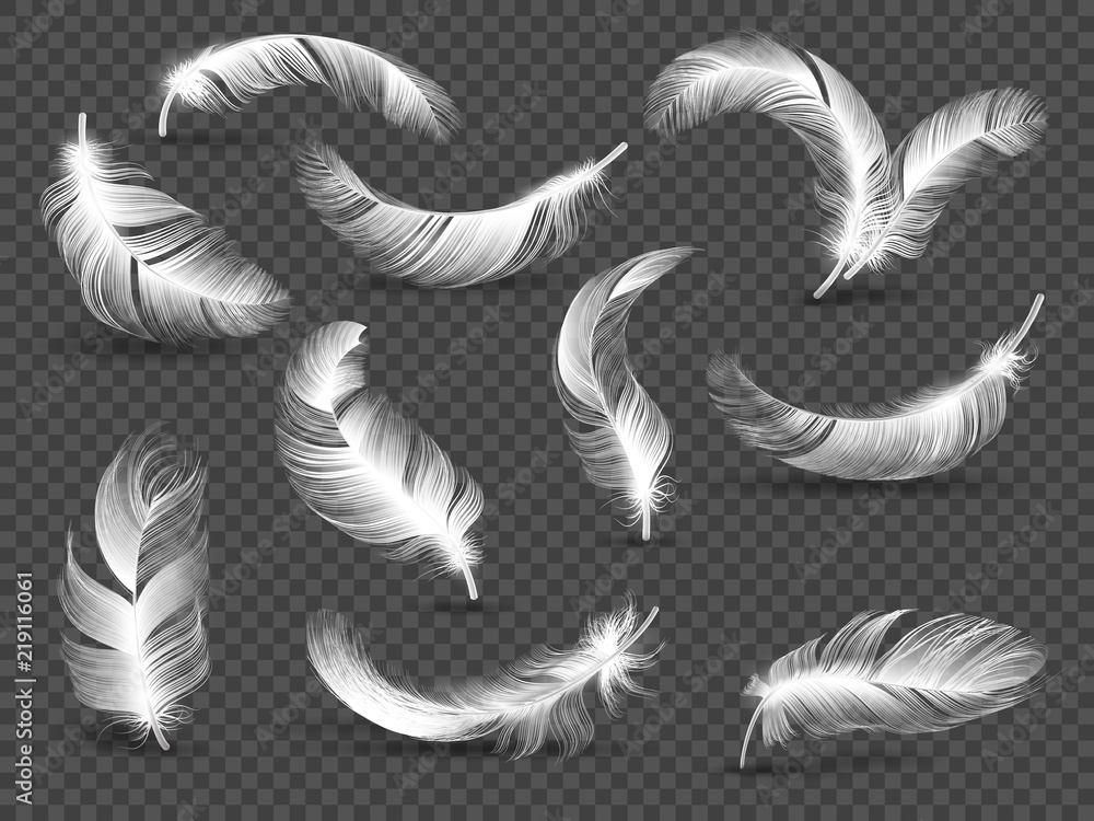 Poster white feathers. fluffy twirled feather isolated on transparent background. realistic vector set