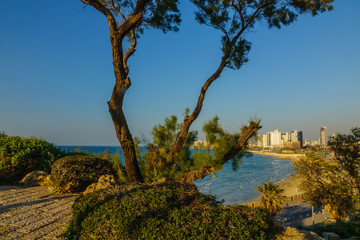 View of Tel Aviv from Abrasha Park, Yafo, Israel