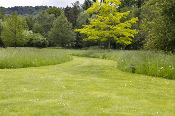 Obraz premium view of the path in the park