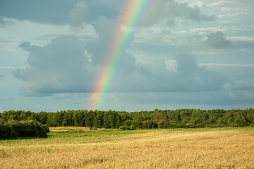 Rainbow on a dark sky over the forest and fields
