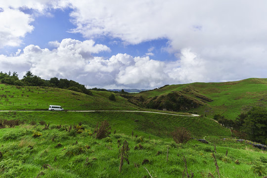 Beautiful Waitomo scenic landscape , New Zealand