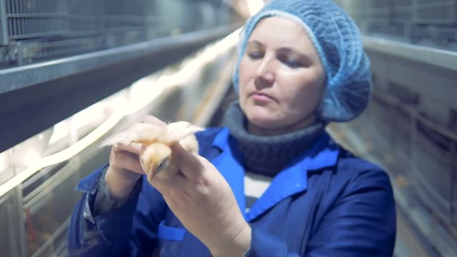 Female poultry house specialist portrait.