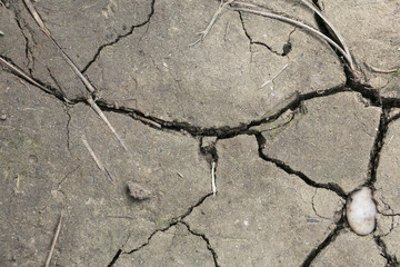 Obraz premium cracked dried mud, perfect background