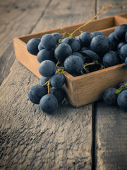 Tasty blue grapes in a wooden box