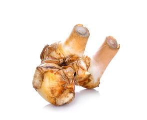 Alpinia galanga on white background