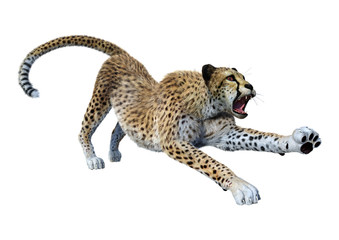 3D Rendering Big Cat Cheetah on White