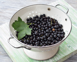 Fresh organic berries black currant in a colander, selective focus