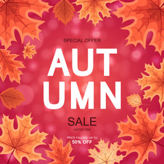 Abstract Vector Illustration Autumn Sale Background with Falling Autumn Leaves