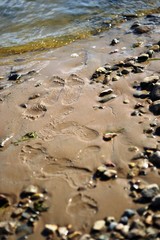 traces untouched