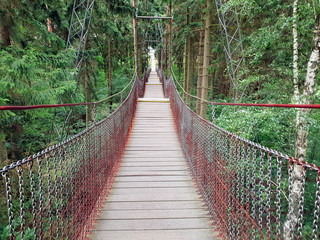 Riesige Hängebrücke mit Stahlgerüst im Wald