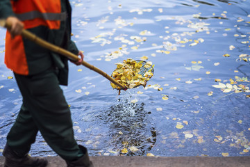 Abstract cleaning swimming pond in the park from fallen leaves with skimmer, autumn, job in the...