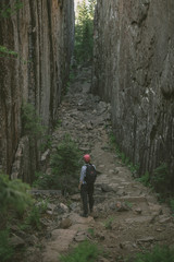 Obraz premium Adventure in the forest