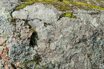 Old granite stone background with green and grey moss
