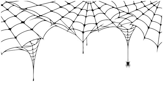 Scary spider web background. Cobweb background with spider. Spooky spider web for Halloween decoration