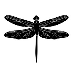 insect silhouette of dragonfly