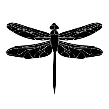 recommend clip art: insect silhouette of dragonfly