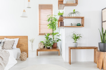 Plants on wooden table in white bedroom interior with bed next to window with blinds. Real photo