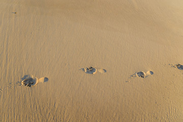 traces de pieds sur le sable