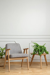 Grey wooden armchair next to table with plant in living room interior with copy space. Real photo