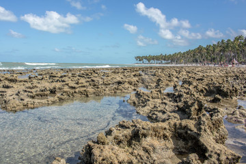 Carneiros beach, Brazilian paradise