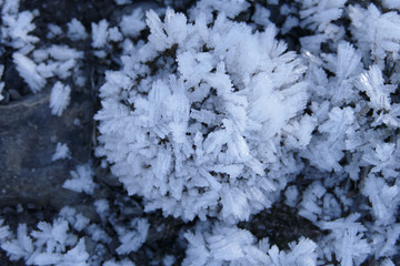 Cristaux de glace
