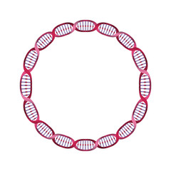 circular dna chain science colorful icon vector illustration design