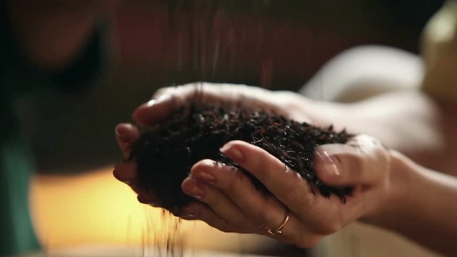Black tea is strewed in the palms