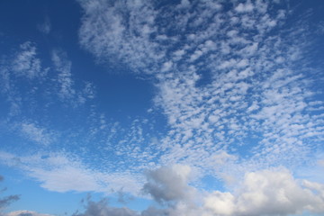 Fototapeta premium 青空