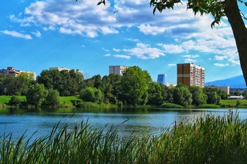 A landscape view of green trees and a lake in a city park during summer