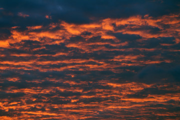 Fototapeta premium Sky clouds background. Cumulus dark red clouds in the sunset. Color clouds in the evening. Sky with a pastel colored background