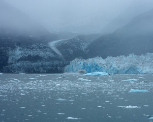 Blue Ice of Columbia Glacier in Prince William Sound