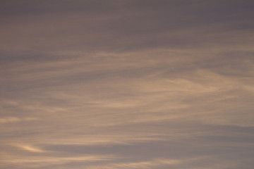 Sky clouds background. Cumulus clouds in the sunset. Color clouds in the evening. Sky with a pastel colored background