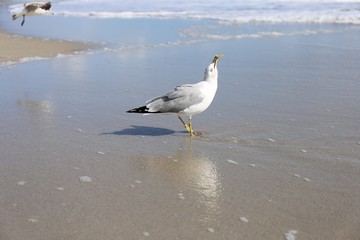 Hey das ist mein Fütter