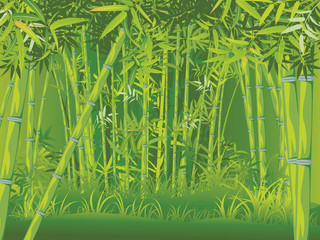 Naklejka premium Bamboo forest scene