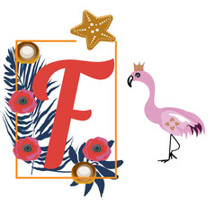 Cartoon Flamingo and letter F, tropical decoration, for baby book