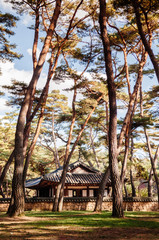 Fototapeta na wymiar Danjong banishment place at Cheongryeongpo cape. Yeongwol, South Korea