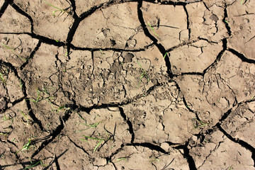 Earth in cracks