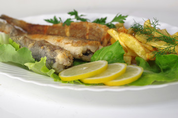 baked hake fish