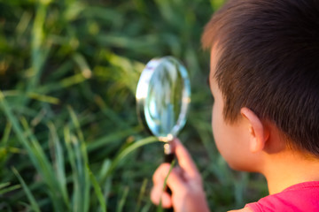 Cute little child boy looking through a magnifying glass on the tree in the garden. Study of plants.