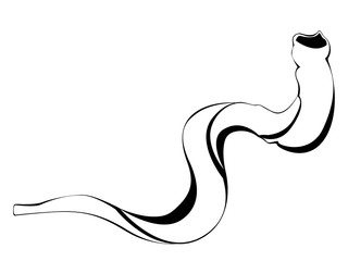 Jewish shofar illustration