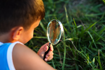 Cute little child boy looking through a magnifying glass on the tree in the garden. Study of plants.