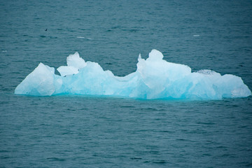 Icebergs formed from Columbia Glacier Calving 