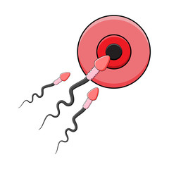 cartoon spermatozoid and egg cell vector design isolated on white background