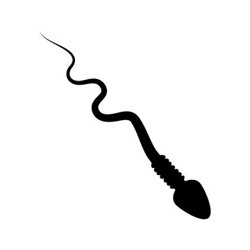 cartoon spermatozoid silhouette vector design isolated on white background